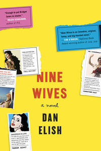 Cover for Nine Wives: A Novel