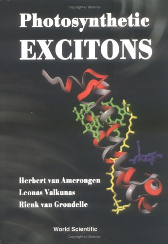 Cover for PHOTOSYNTHETIC EXCITONS
