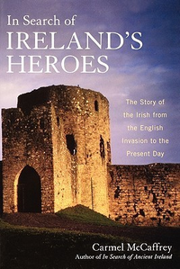 Cover for In Search of Ireland's Heroes: The Story of the Irish from the English Invasion to the Present Day