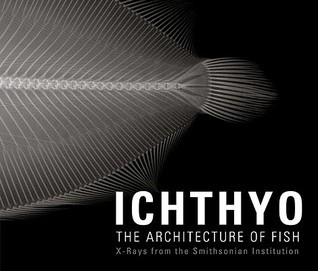 Cover for Ichthyo: The Architecture of Fish