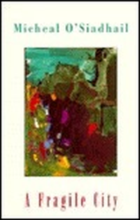 Cover for A Fragile City