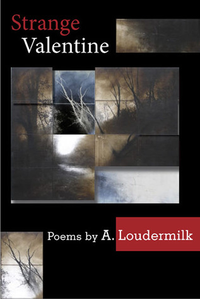 Cover for Strange Valentine