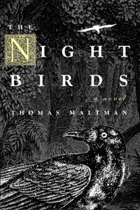 Cover for The Night Birds