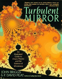 Cover for Turbulent Mirror: An illustrated guide to chaos theory and the science of wholeness