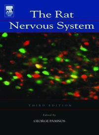 Cover for The Rat Nervous System