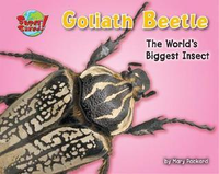 Cover for Goliath Beetle: One of the World's Heaviest Insects