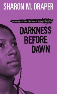 Cover for Darkness Before Dawn