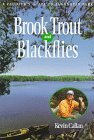 Cover for Brook Trout and Blackflies: A Paddler's Guide to Algonquin Park