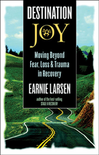 Cover for Destination Joy: Moving Beyond Fear. Loss, and Trauma in Recovery.