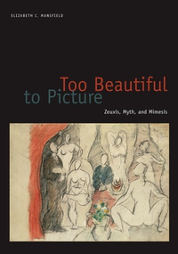 Cover for Too Beautiful to Picture: Zeuxis, Myth, and Mimesis