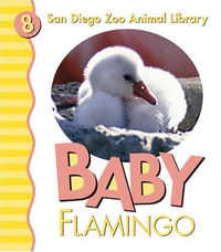 Cover for Baby Flamingo