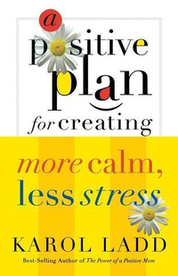 Cover for A Positive Plan For Creating More Calm Less Stress