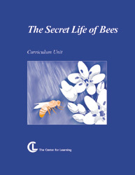 Cover for The Secret Life of Bees