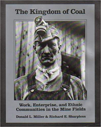 Cover for The Kingdom of Coal: Work, Enterprise & Ethnic Communities in the Mine Fields