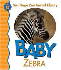 Cover for Baby Zebra