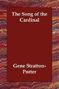 Cover for The Song of the Cardinal