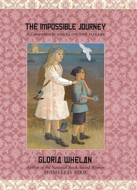 Cover for The Impossible Journey