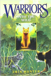 Cover for Into the Wild