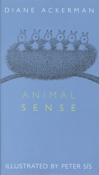 Cover for Animal Sense