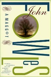 Cover for A Maggot